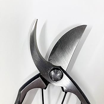 Amazon | 飛庄 飛塚製作所 剪定鋏 青紙 225mm ダマスカス 16層